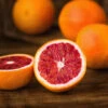 Sanguinelli Blood Orange Tree -Nature Grove Shop Sanguinelli Blood Orange FGT 600x600 7a7de938 a6c5 4521 84f8 c031e9f36cc2