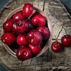 Santina™ Cherry Tree 8 Santina™ Cherry Tree -Nature Grove Shop Santina Cherry 1