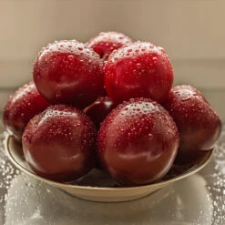 Satsuma Plum Tree -Nature Grove Shop Satsuma Plum 3