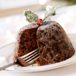 Satsuma Plum Tree -Nature Grove Shop Satsuma Plum 4