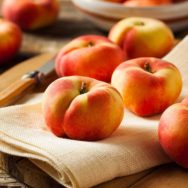 Donut Saturn Peach Tree 3 Donut Saturn Peach Tree