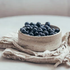 Sharpblue Blueberry Bush -Nature Grove Shop Sharpblue Blueberry 1