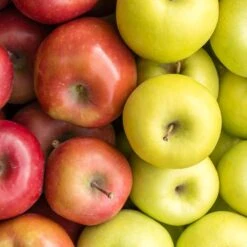 4-in-1 Apple Surprise Tree 8 4-in-1 Apple Surprise Tree -Nature Grove Shop Surprise Apple 1 fd4b319d eb68 4ca8 b9dc 6ed8dd5560c3