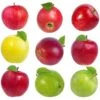 5-in-1 Apple Surprise Tree 1 5-in-1 Apple Surprise Tree -Nature Grove Shop Surprise Apple 600x600 48c781e7 f482 420a 814a 99824e3c36bc