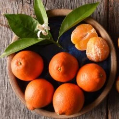 Tangelo Tree 11 Tangelo Tree -Nature Grove Shop Tangelo 1 FGT