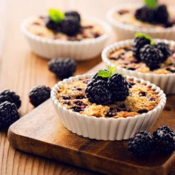 Thornless Blackberry 9 Thornless Blackberry -Nature Grove Shop Thornless Blackberry 2