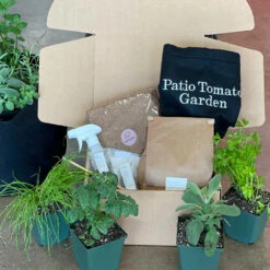 Patio Tomato Garden -Nature Grove Shop Tomato Garden kit 2