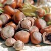 Tonda Di Giffoni Filbert -Nature Grove Shop Tonda Hazelnuts 400