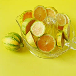 Pink Variegated Eureka Lemon Tree -Nature Grove Shop Variegated Pink Eureka 3 fc1d5a93 7ca6 443b a4e9 221de3f12f84