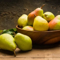 Warren Pear Tree -Nature Grove Shop Warren Pear Tree 1