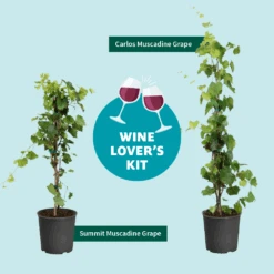 Wine Lover's Kit -Nature Grove Shop WineLoversKitGraphic 2